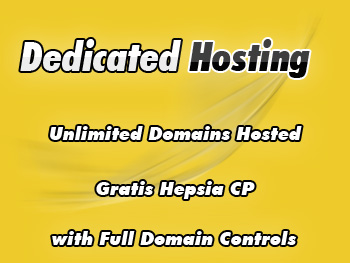 Inexpensive dedicated server plan